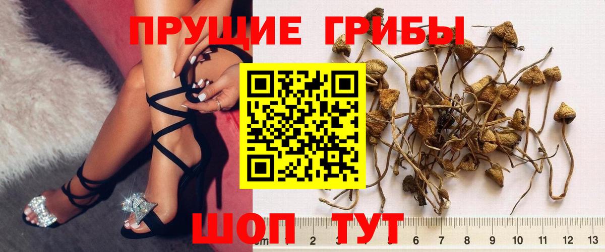 Псилоцибиновые грибы Magic Shrooms Советск