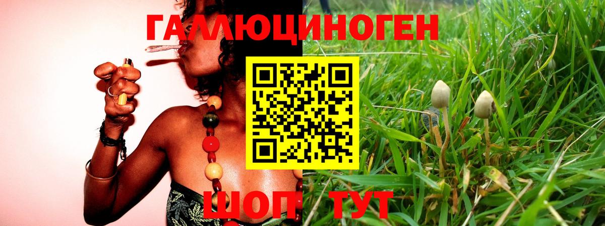 Галлюциногенные грибы GOLDEN TEACHER  Псилоцибиновые грибы мицелий  Вход с VPN  Советск 